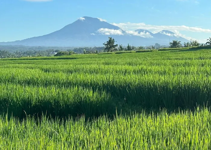 Tepi Sungai - 6br Luxury Private Pool - Seminyak Sleeps 14 Villa Legian